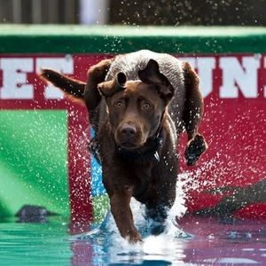 Meet your Posher, Jana